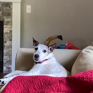 Meet your Posher, Dana